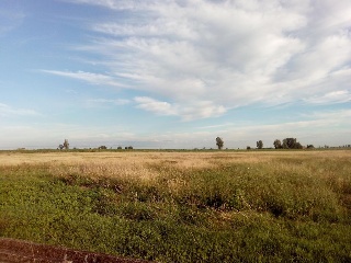 Otros en venta en Acebedo de 1000  m²