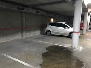 Palamos 2