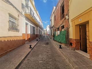 Tio Pinto 2