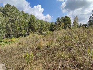 Sector El Belengueron 4
