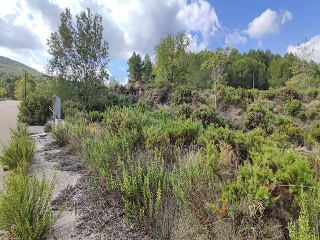 Sector El Belengueron 6