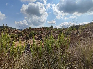 Sector El Belengueron 7