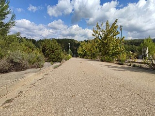 Sector El Belengueron 8