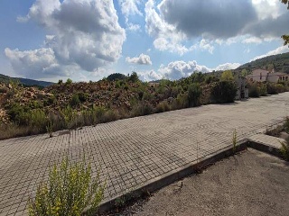 Sector El Belengueron 10