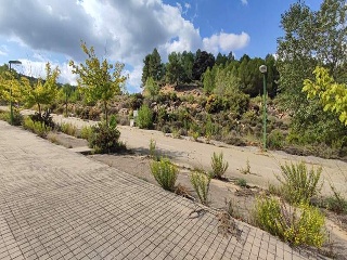 Sector El Belengueron 13