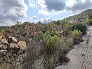 Sector El Belengueron 15