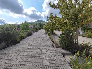 Sector El Belengueron 17