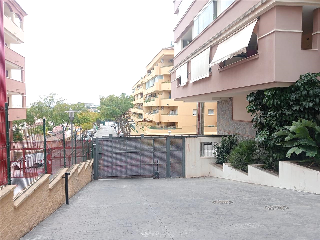 Narciso 11