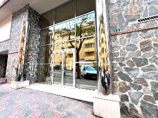 Narciso 16