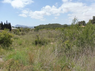 SOGAI 4