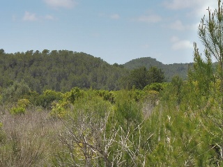 SOGAI 5