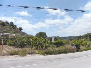 SOGAI 13