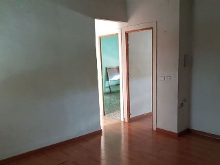 Palmar 4