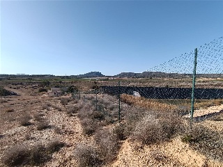 PARAJE DE RIQUELME 15