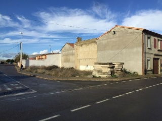 COTORRILLO 8