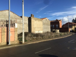 COTORRILLO 10