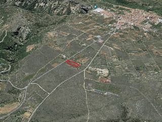 ARTIGA DE LA MI 15