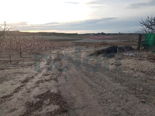 otros en venta , Cieza , 14453 m2 23