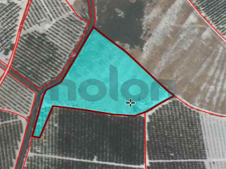 otros en venta , Cieza , 14453 m2 26