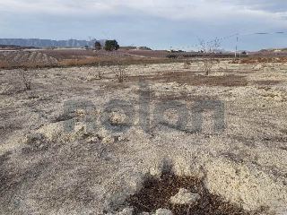 otros en venta , Cieza , 14453 m2 28