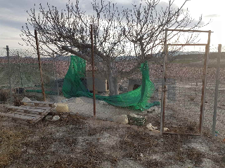 otros en venta , Cieza , 14453 m2 29