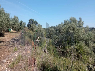 otros en venta , Montoro , 95 m2 20