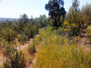 otros en venta , Montoro , 95 m2 21