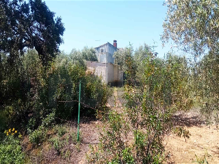 otros en venta , Montoro , 95 m2 22