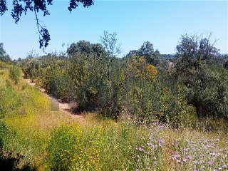 otros en venta , Montoro , 95 m2 25