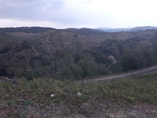 otros en venta , Montoro , 76593 m2 19