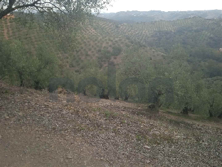otros en venta , Montoro , 76593 m2 20