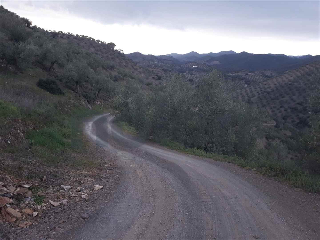 otros en venta , Montoro , 76593 m2 21