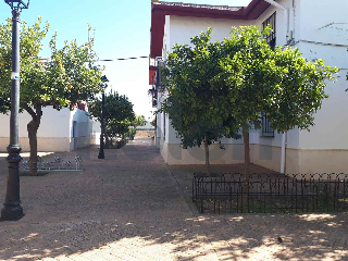 piso en venta , Palma Del Rio , 93 m2 50
