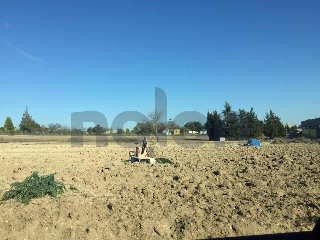 otros en venta , Trebujena , 1409 m2 14