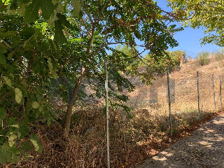 otros en venta , Villalbilla , 378 m2 26