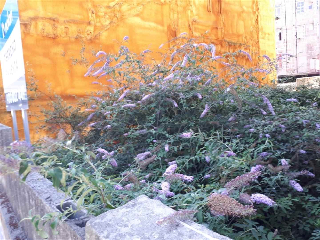 otros en venta , Vigo , 134 m2 23