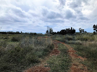 otros en venta , Torreblanca , 4291 m2 21