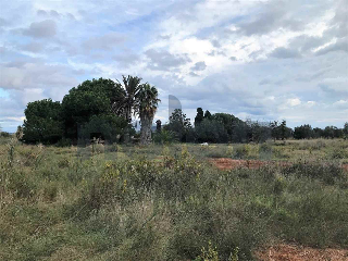otros en venta , Torreblanca , 4291 m2 23