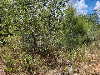otros en venta , Pedreguer , 3695 m2 13