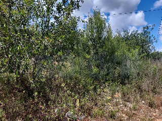 otros en venta , Pedreguer , 3695 m2 16