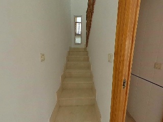 Constitucion 35