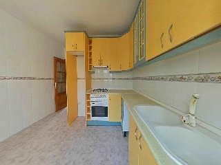 Constitucion 43