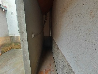 Constitucion 55