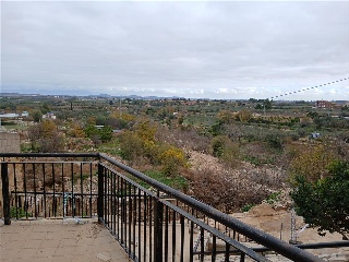San Antonio 7