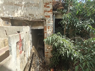 San Antonio 11
