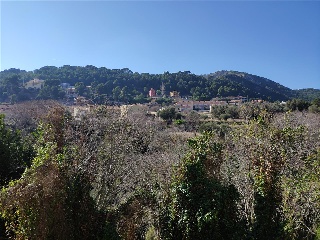 Poligono 35 9