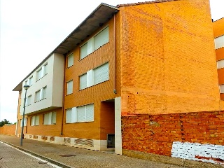 PAZ 19