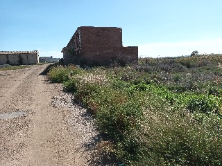 ARRABAL 13