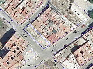 MORELLA 14