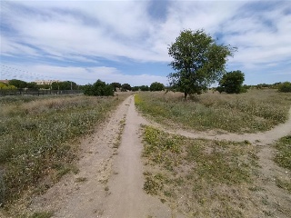 LA NORIA 9
